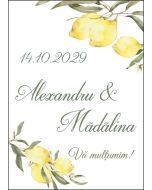 Eticheta autoadeziva/cartonata pentru sticle si borcane, cod E082