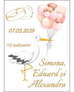 Eticheta autoadeziva/cartonata pentru sticle si borcane, cod E223