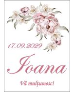 Eticheta autoadeziva/cartonata pentru sticle si borcane, cod E334