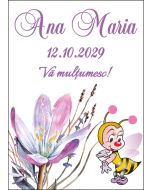 Eticheta autoadeziva/cartonata pentru sticle si borcane, cod E378