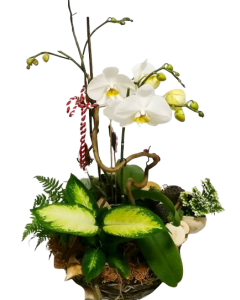 Aranjament floral, cod MAR009