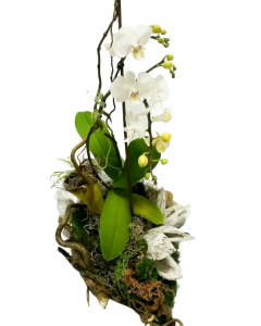 Aranjament floral, cod MAR010